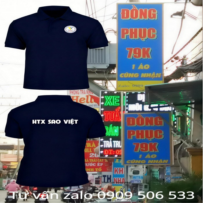 HTX SAO VIỆT
